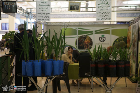 افتتاح نمایشگاه زیستفناوری نمایشگاه زیست فناوری