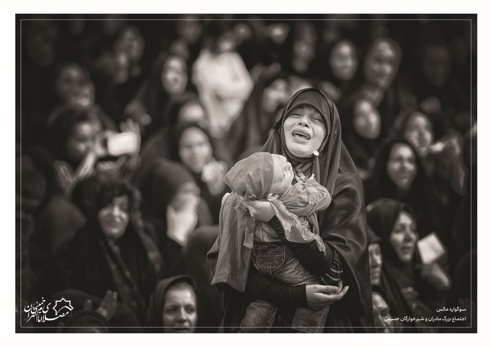 عکس شایسته تقدیر بخش دوربین عکاسی- اثر احمد صالحی